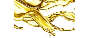 Мы предлагаем базовые масла